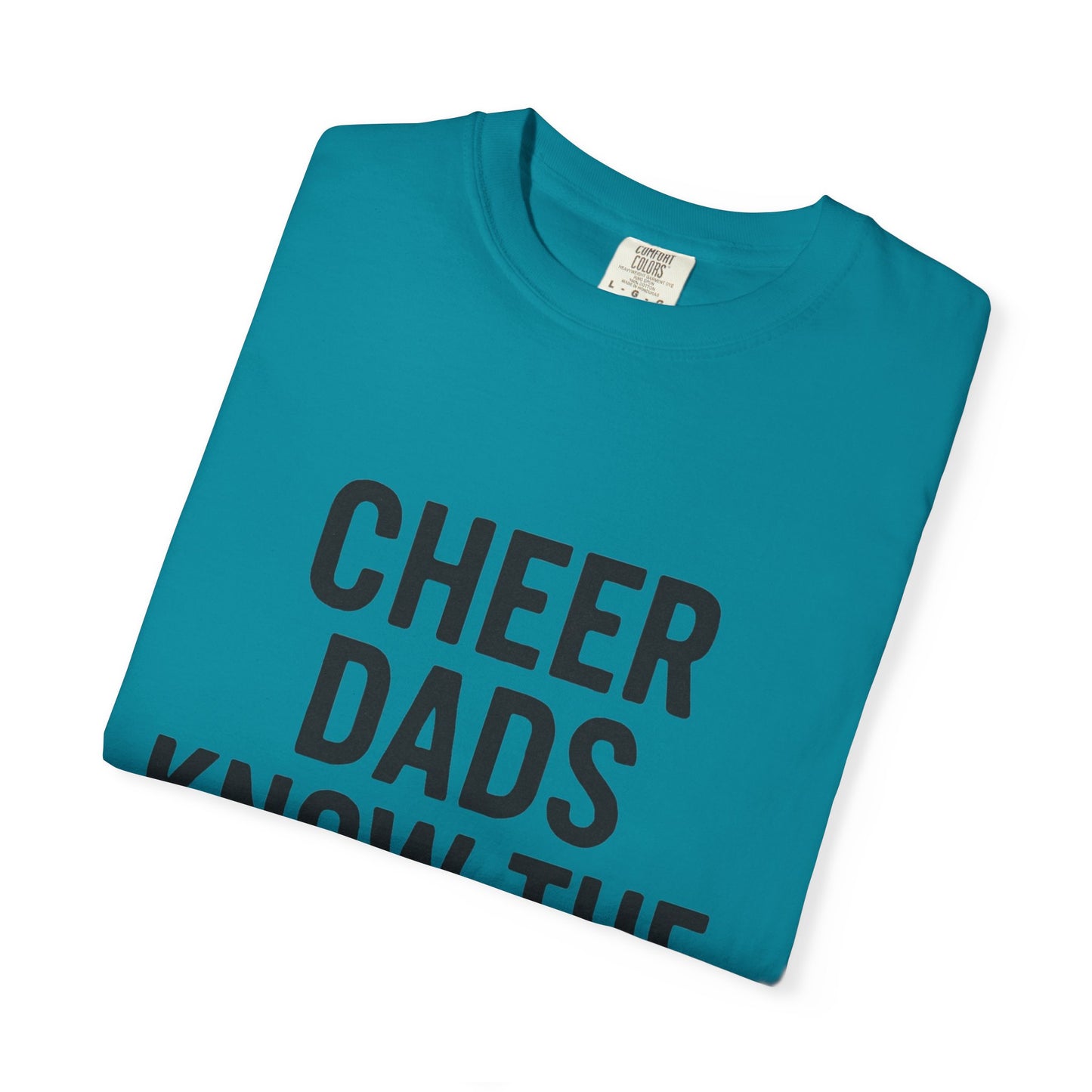 Cheer Dad Humor T-Shirt - Men
