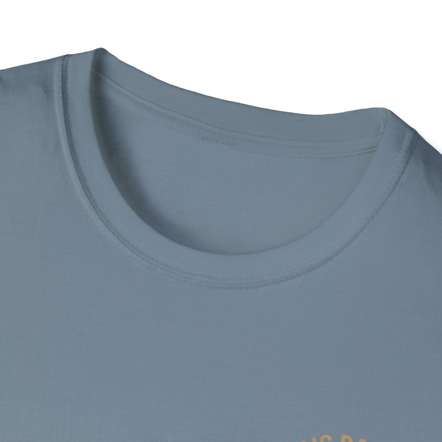 Women's USA Lacrosse Graphic Softstyle T-Shirt, Perfect for Sports Fans