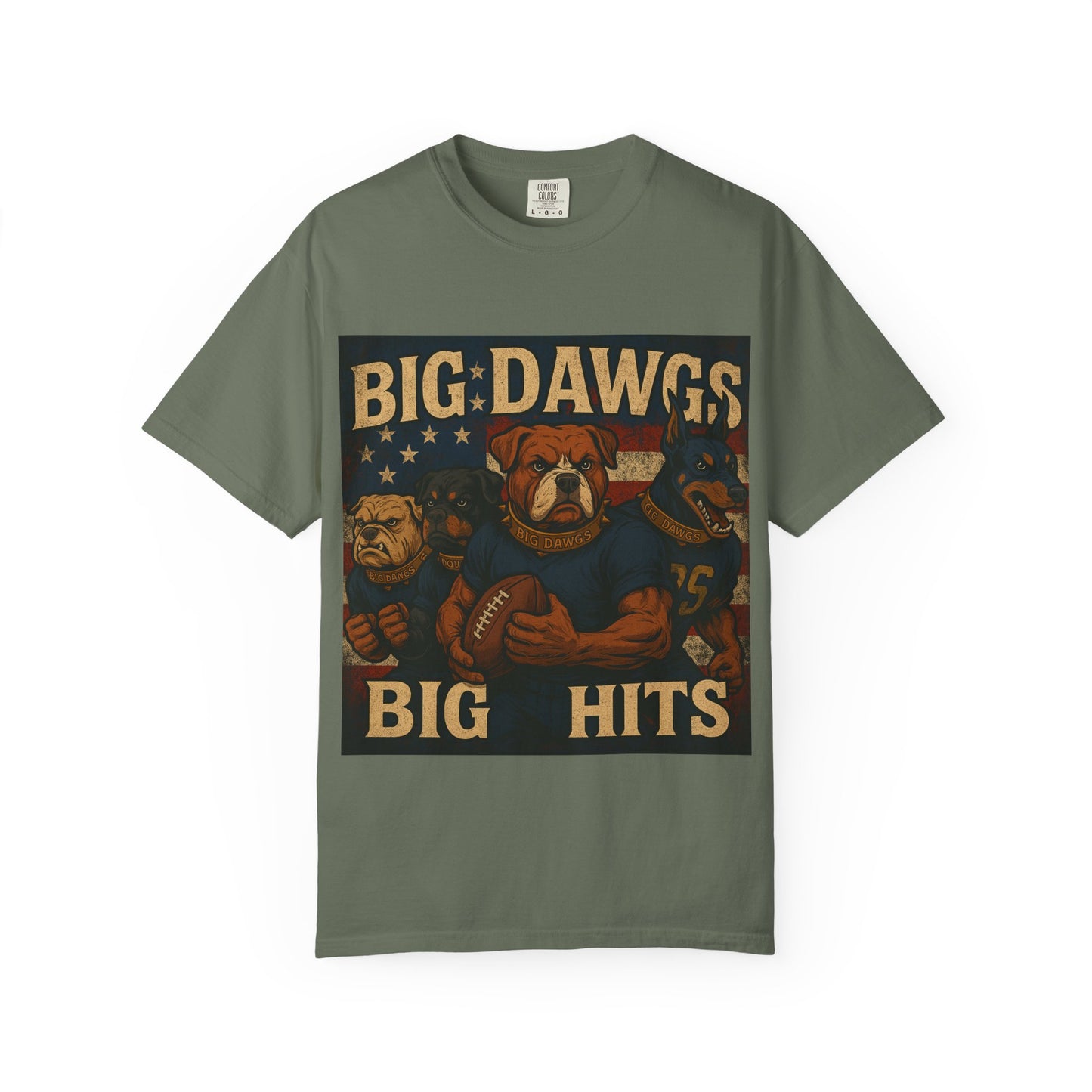 Men's Big Dawgs, Big Hits T-Shirt, Casual Tee